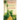 Mosaic: Caribbean Short Story Collection