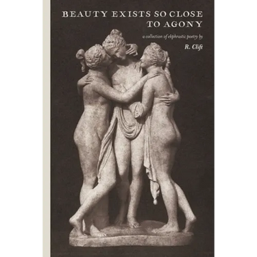 beauty exists so close to agony: a collection of ekphrastic poetry