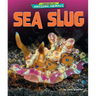 Sea Slug