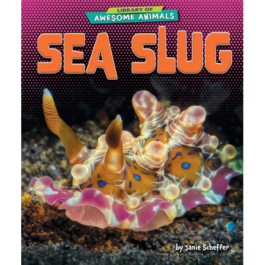 Sea Slug