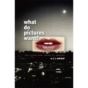 What Do Pictures Want?: The Lives and Loves of Images