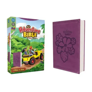 Adventure Bible for Early Readers-NIRV