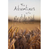 The Adventures of the Reptile Kid