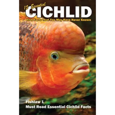 15 Essential Cichlid Fish Facts That You May Have Never Known: Fishlaw1 Must Read Essential Cichlid Facts