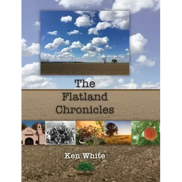 The Flatland Chronicles