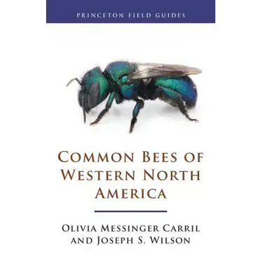 Common Bees of Western North America