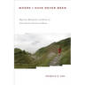 Where I Have Never Been: Migration, Melancholia, and Memory in Asian American Narratives of Return