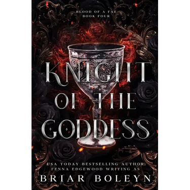 Knight of the Goddess: A Dark Fae Fantasy Romance