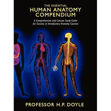 The Essential Human Anatomy Compendium: A Comprehensive and Concise Study Guide for Success in Introductory Anatomy Courses