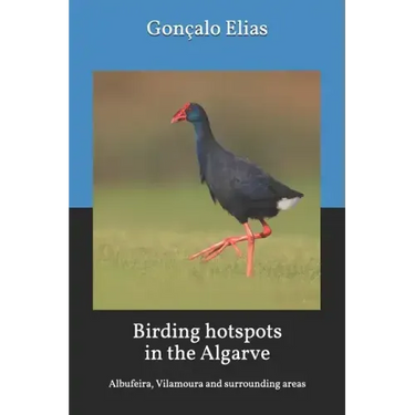 Birding hotspots in the Algarve: Albufeira, Vilamoura and surrounding areas