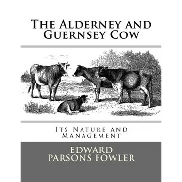 The Alderney and Guernsey Cow: Its Nature and Management