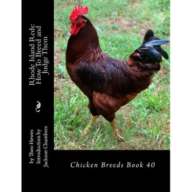 Rhode Island Reds: How To Breed and Judge Them: Chicken Breeds Book 40