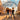 The Passport Kids- Adventure's in: Vienna, Austria