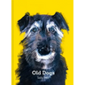 Old Dogs