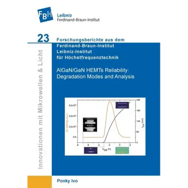 AlGaN/GaN HEMTs Reliability. Degradation Modes and Analysis