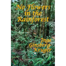 No Flowers in the Rainforest