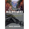 Beneath Mulholland: Thoughts on Hollywood and Its Ghosts