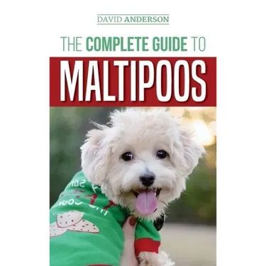 The Complete Guide to Maltipoos: Everything you need to know before getting your Maltipoo dog