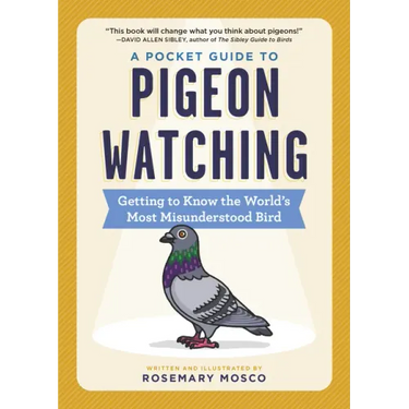 A Pocket Guide to Pigeon Watching: Getting to Know the World's Most Misunderstood Bird