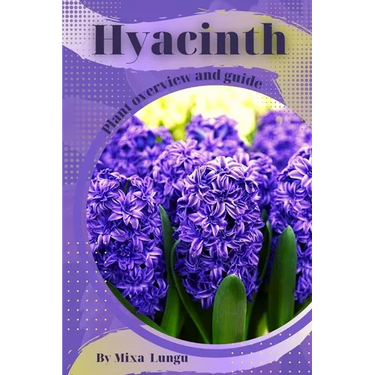 Hyacinth: Plant overview and guide