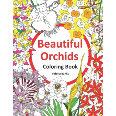 Beautiful Orchids