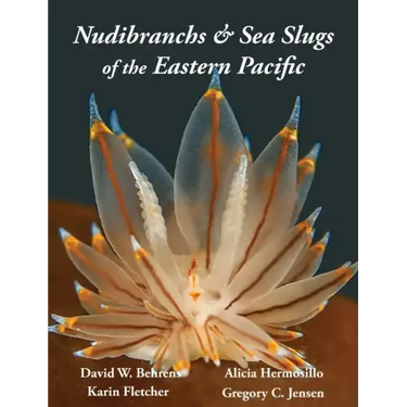 Nudibranchs & Sea Slugs of the Eastern Pacific