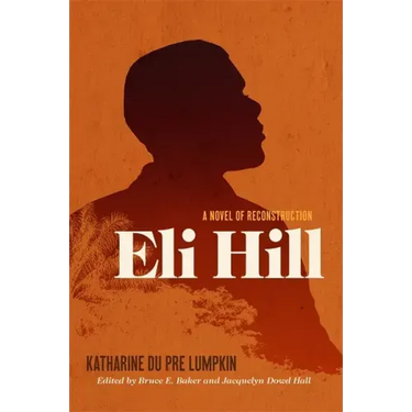 Eli Hill: A Novel of Reconstruction