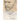 Vincent van Gogh: A Poisoned Life: A Novel