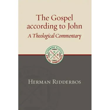 The Gospel According to John: A Theological Commentary
