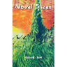 Novel Slices Issue 6