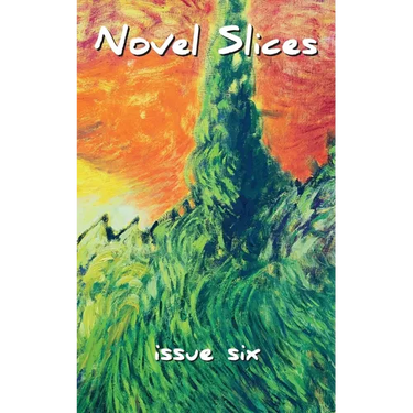 Novel Slices Issue 6
