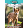 Dingoes