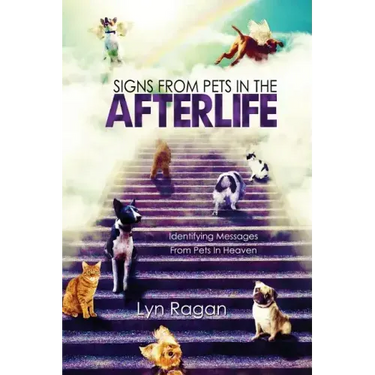 Signs From Pets In The Afterlife: Identifying Messages From Pets In Heaven