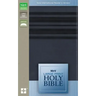 Large Print Bible-NIRV