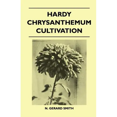 Hardy Chrysanthemum Cultivation