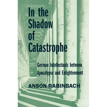 In the Shadow of Catastrophe: German Intellectuals Between Apocalypse and Enlightenment Volume 14