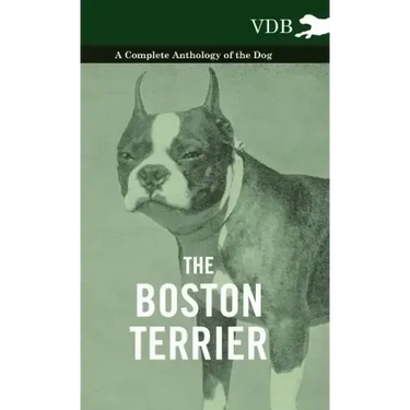 The Boston Terrier - A Complete Anthology of the Dog -
