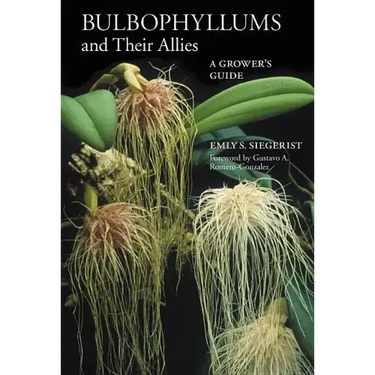 Bulbophyllums and Their Allies
