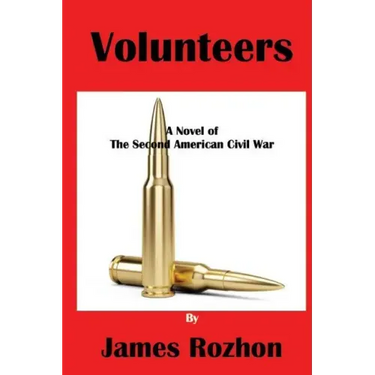 Volunteers: A Novel of The Second American Civil war