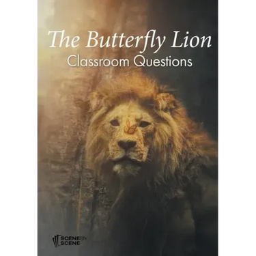 The Butterfly Lion Classroom Questions