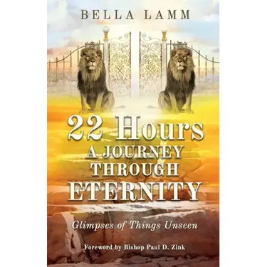 22 Hours: A Journey Through Eternity: Glimpses of Things Unseen