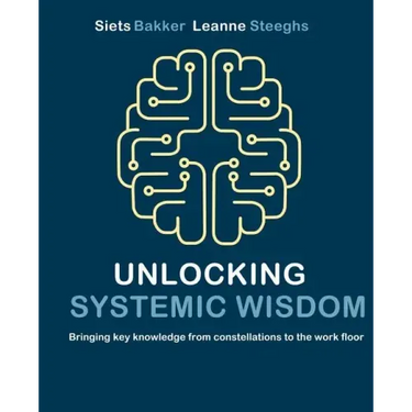 Unlocking systemic wisdom: bringing key knowledge from constellations to the work floor