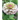 Mostly Zinnias: Flower Photos Pre and Post Hurricane Ida