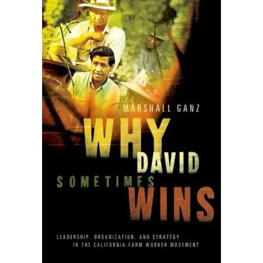 Why David Sometimes Wins: Leadership, Organization, and Strategy in the California Farm Worker Movement