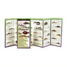 Fishes of the Chesapeake Bay