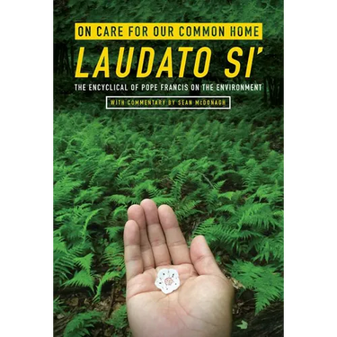 On Care for Our Common Home, Laudato Si': The Encyclical of Pope Francis on the Environment with Commentary by Sean McDonagh