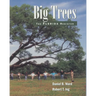 Big Trees: The Florida Register