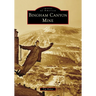 Bingham Canyon Mine