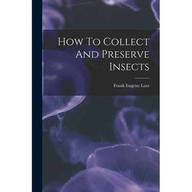 How To Collect And Preserve Insects