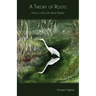 A Theory of Roots: Homage to Boyd Hill Nature Preserve